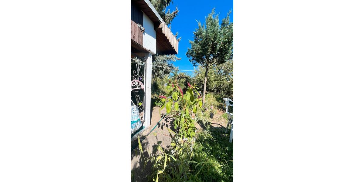 Grundstück Erfurt Gispersleben - 1.500&euro; | Angebot:26007257