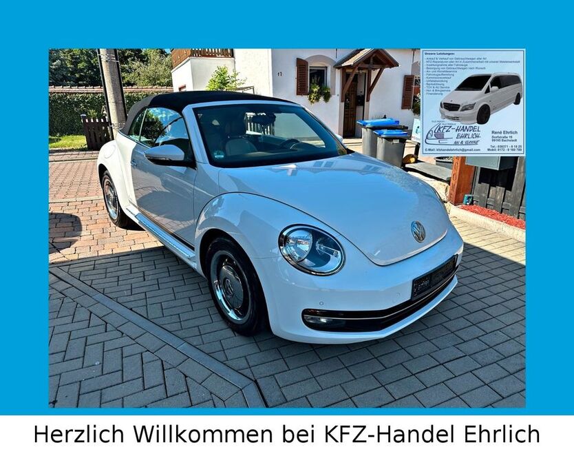 Beetle