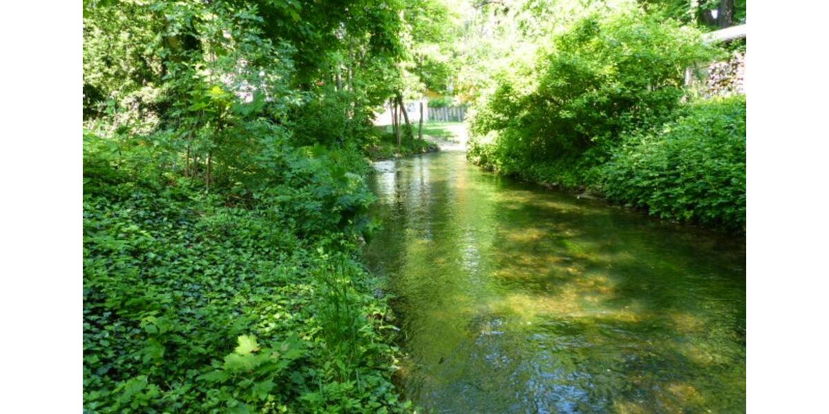 Dachgeschoßwohnung Erfurt Hochheim - 2 Zimmer, 100 m&sup2;, 1.500&euro; | Angebot:25650095