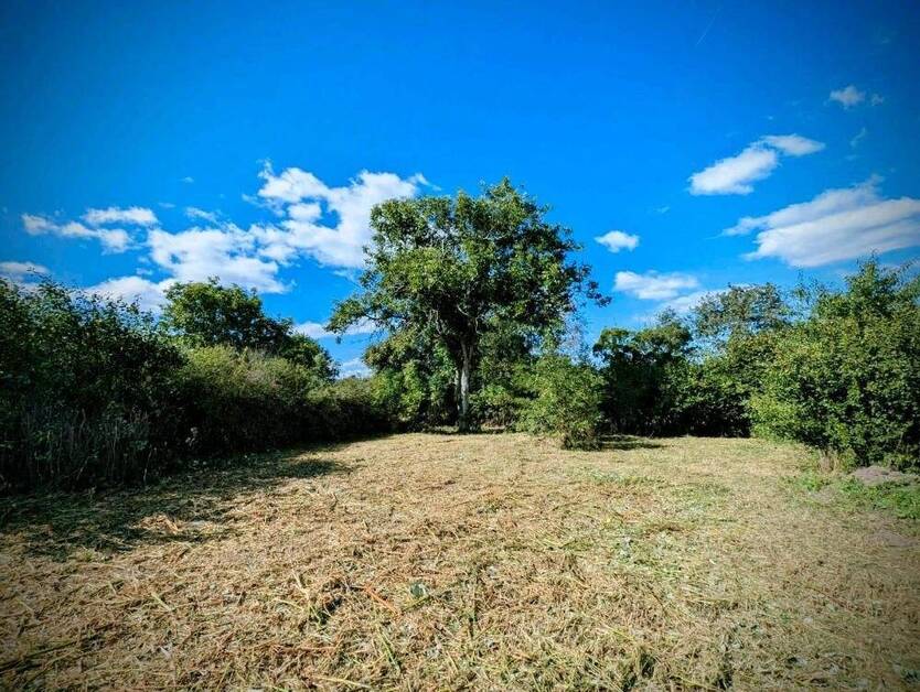 Der Bungalow mit dem charmanten Walmdach - stufenlos glücklich sein in Großfahner 5 zimmer