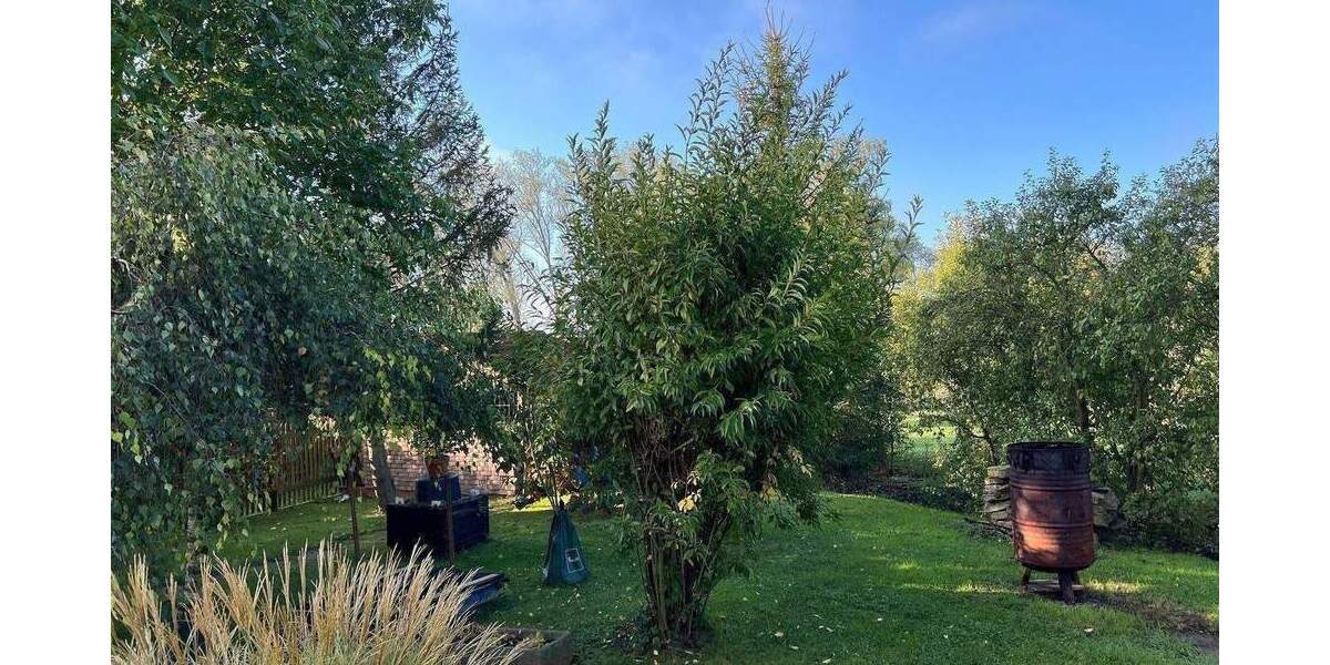 Einfamilienhaus Drei Gleichen Großrettbach - 5 Zimmer, 167 m&sup2;, 499.000&euro; | Angebot:24385862