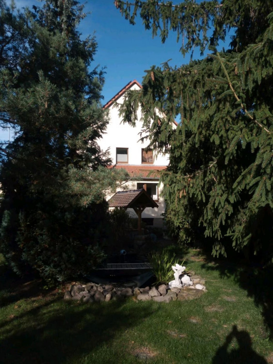 Vielseitiges Wohnensemble mit drei Wohneinheiten, großem Grundstück und moderner Ausstattung 6 zimmer