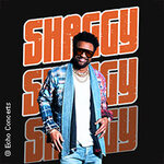 Shaggy - Exklusive Deutschland Show