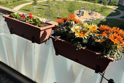 Wohnung Erfurt Johannesvorstadt - 2 Zimmer, 48 m&sup2;, 970&euro; | Angebot:25370673