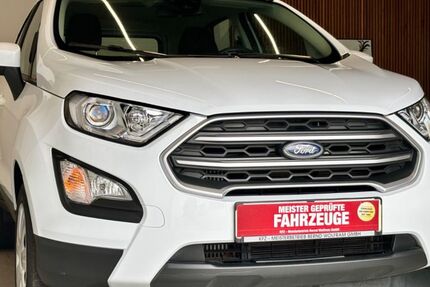 Ford EcoSport 78.446 km 13.970 € Großfahner 99100