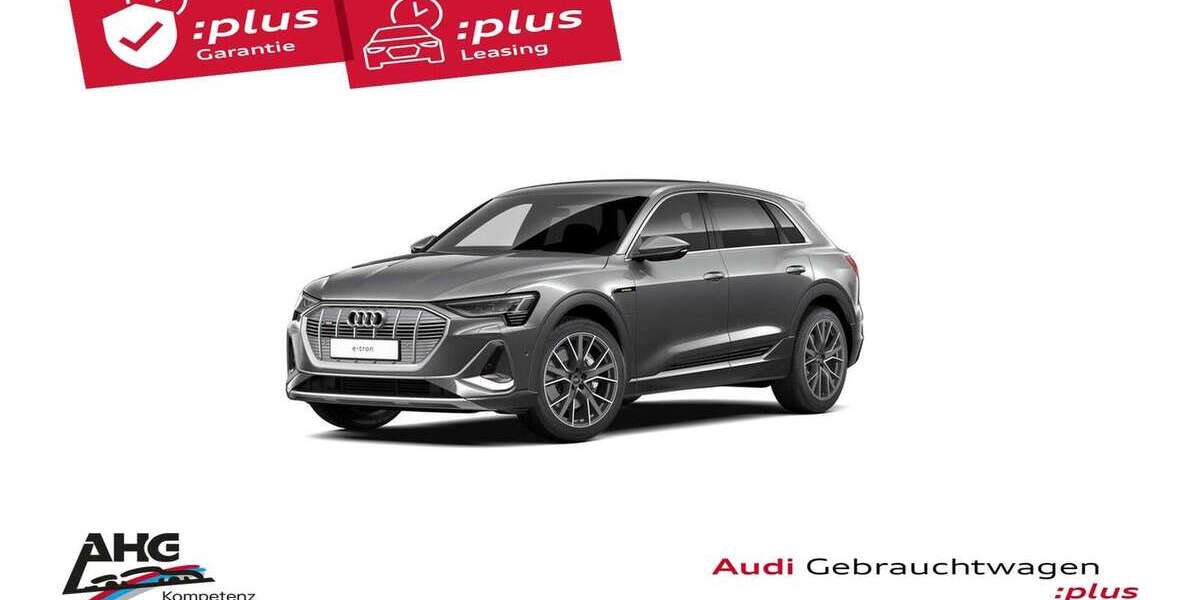 Audi e-tron 61.200 km 34.985 &euro; Gotha 99867