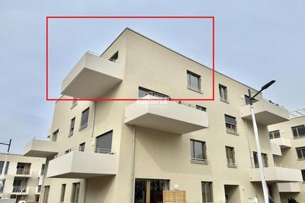 antaris Immobilien GmbH ** 2-Raum-Wohnung mit Balkon+Dachterrasse in Top-Lage am Steigereck **