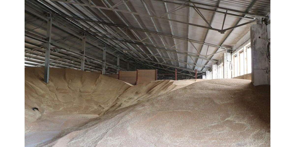 Gewerbeobjekt Kölleda - 1.500.000&euro; | Angebot:24004293