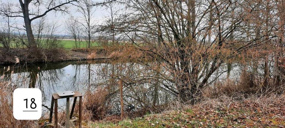 Grundstück Erfurt Melchendorf - 50&euro; | Angebot:25770214