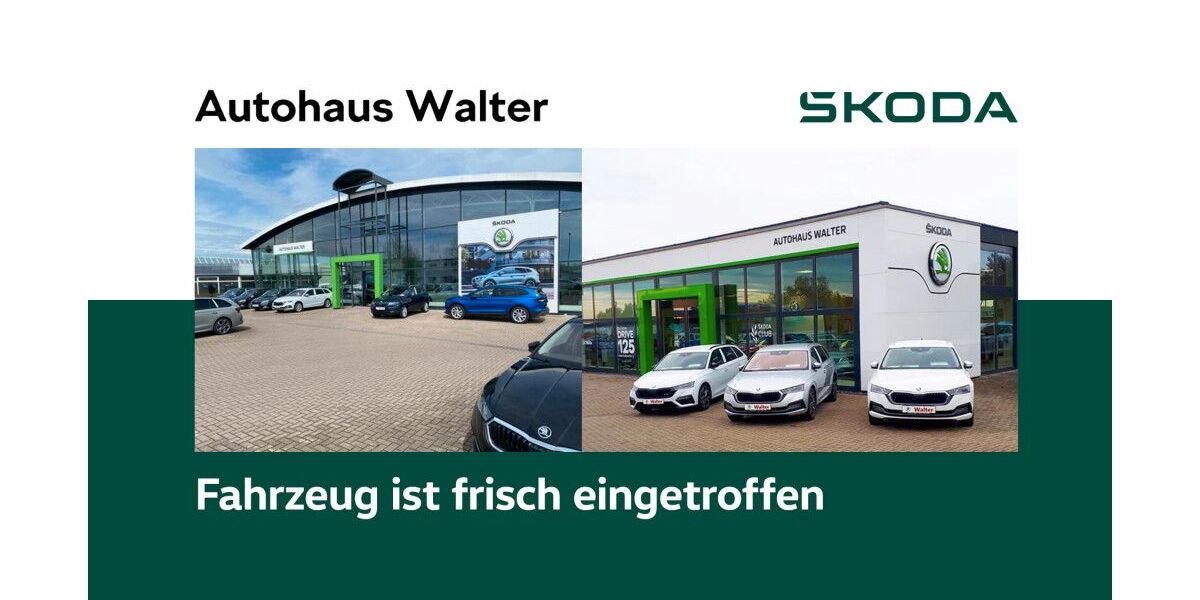 Skoda Kamiq 48.100 km 18.990 &euro; Sömmerda 99610