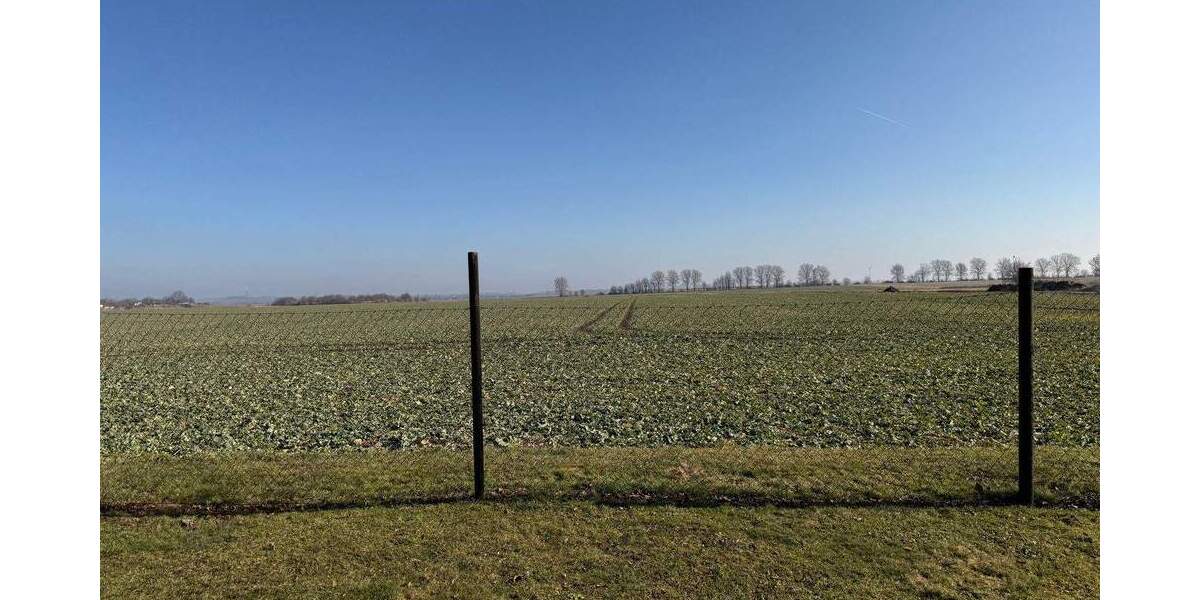 Einfamilienhaus Gotha - 8 Zimmer, 171 m&sup2;, 199.000&euro; | Angebot:25165472