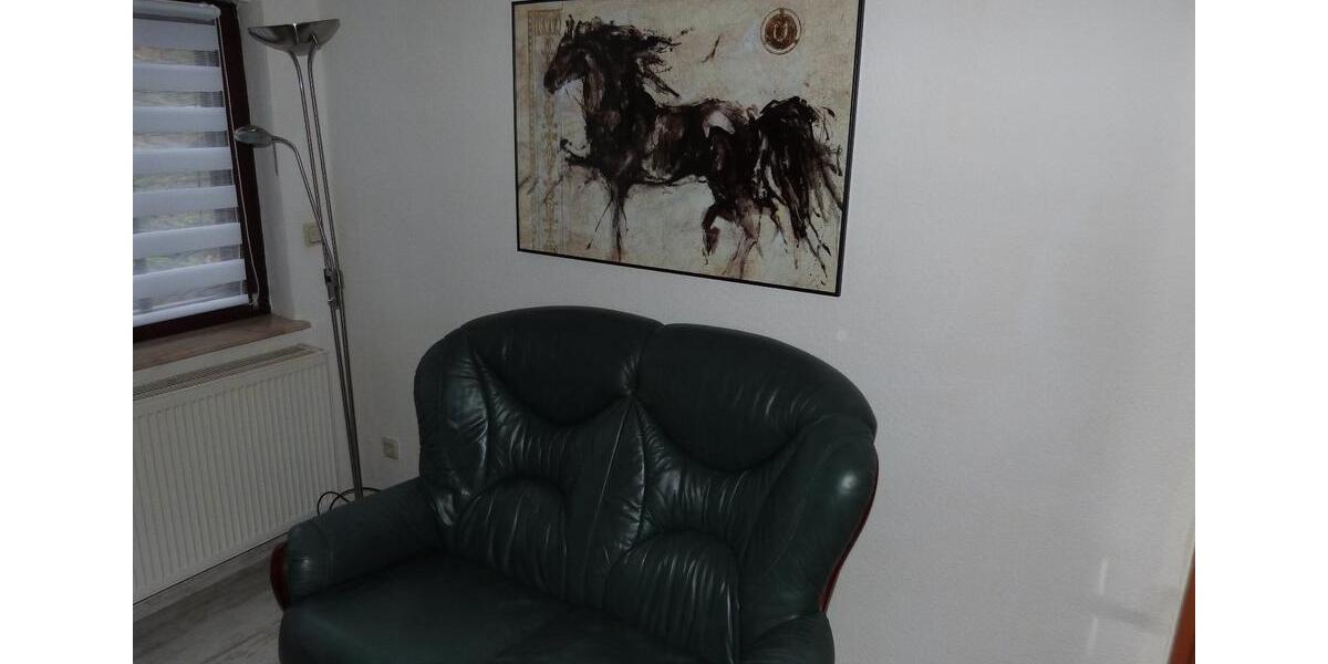 komplett eingerichtete 2-Raumwohnung in Weimar-Legefeld 2 zimmer