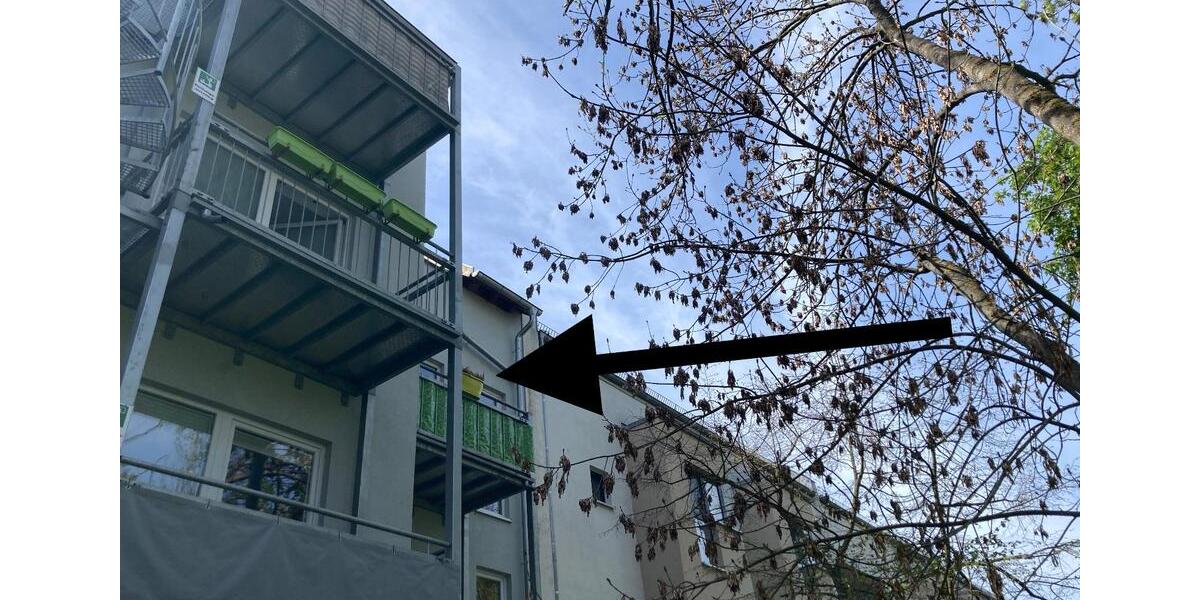 Etagenwohnung Erfurt Andreasvorstadt - 2 Zimmer, 54 m&sup2;, 650&euro; | Angebot:26225832