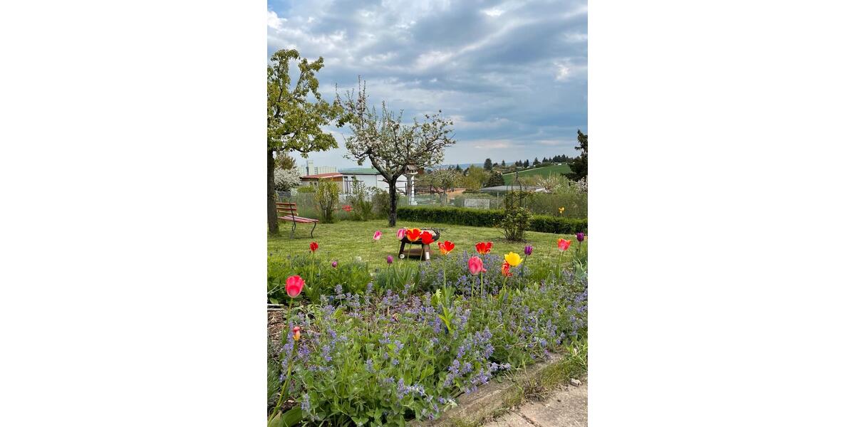 Grundstück Erfurt Daberstedt | Angebot:25372633