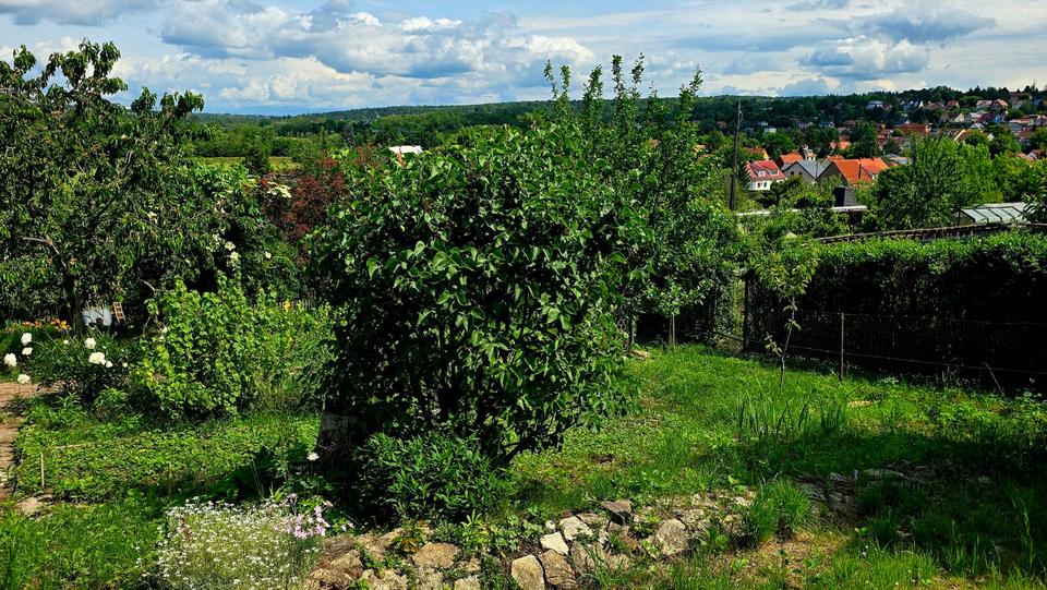 Grundstück Erfurt Hochheim - 3.450&euro; | Angebot:25908246