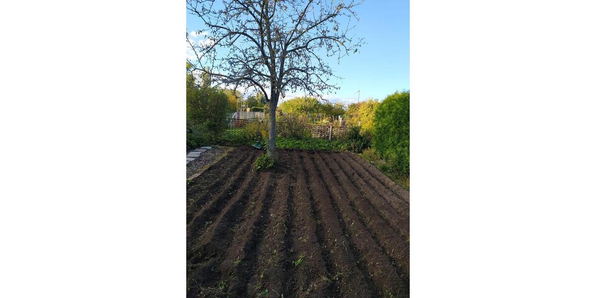 Grundstück Erfurt Andreasvorstadt - 3.000&euro; | Angebot:25423523