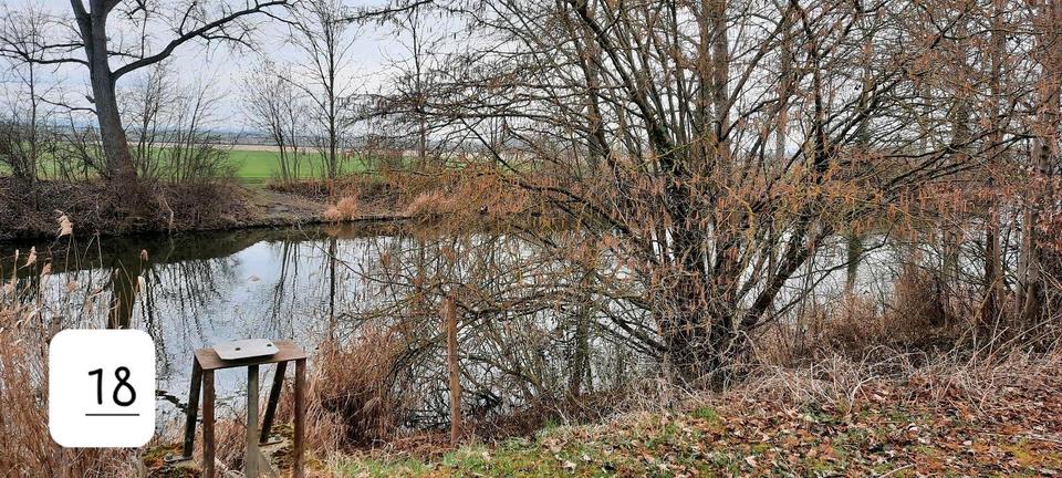 Grundstück Erfurt Melchendorf - 50&euro; | Angebot:26303535