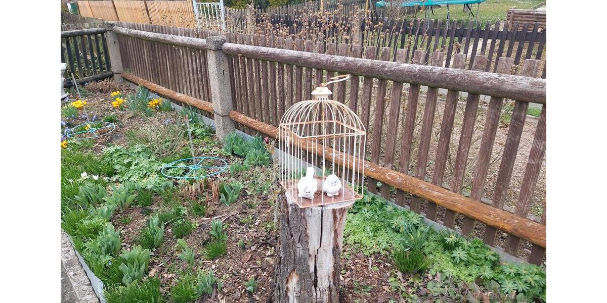 Grundstück Gotha - 7.500&euro; | Angebot:26050399