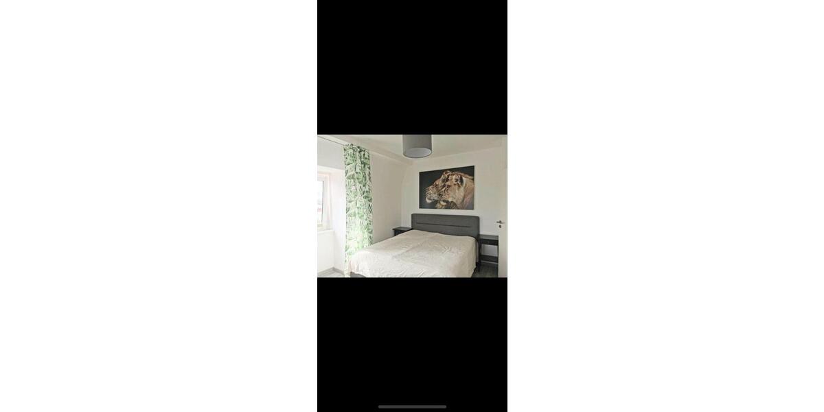 Dachgeschoßwohnung Erfurt Andreasvorstadt - 3 Zimmer, 55 m&sup2;, 730&euro; | Angebot:26149605