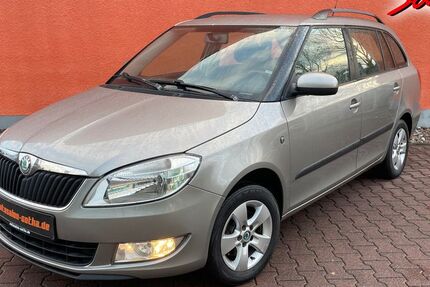 Skoda Fabia 236.111 km 3.990 € Gotha 99867