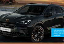 Gebrauchtwagen Cupra Terramar