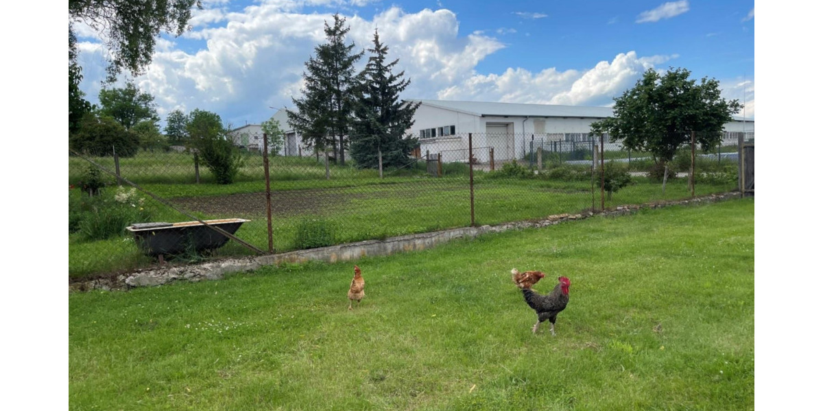 Mehrfamilienhaus, Wohnhaus Amt Wachsenburg Rehestädt - 429.000&euro; | Angebot:25723037