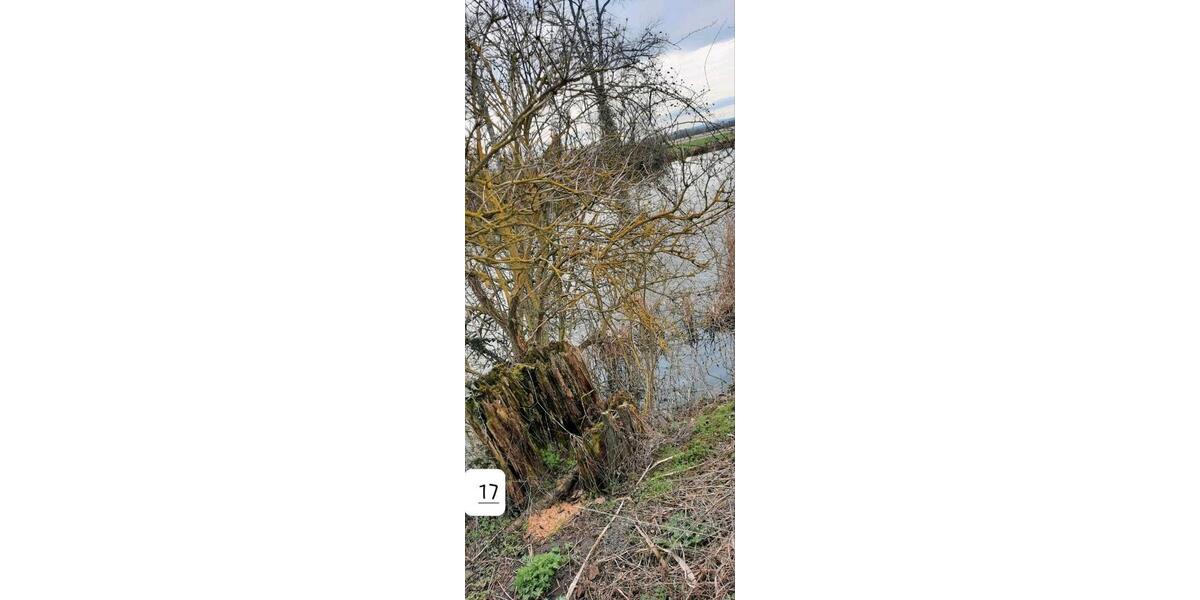 Grundstück Erfurt Melchendorf - 50&euro; | Angebot:25770214