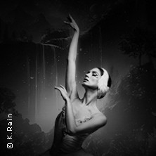 Grand Classic Ballet - Schwanensee - Jenseits der Bühne mit live Streichquartett 17.05.2026 Kaisersaal Erfurt