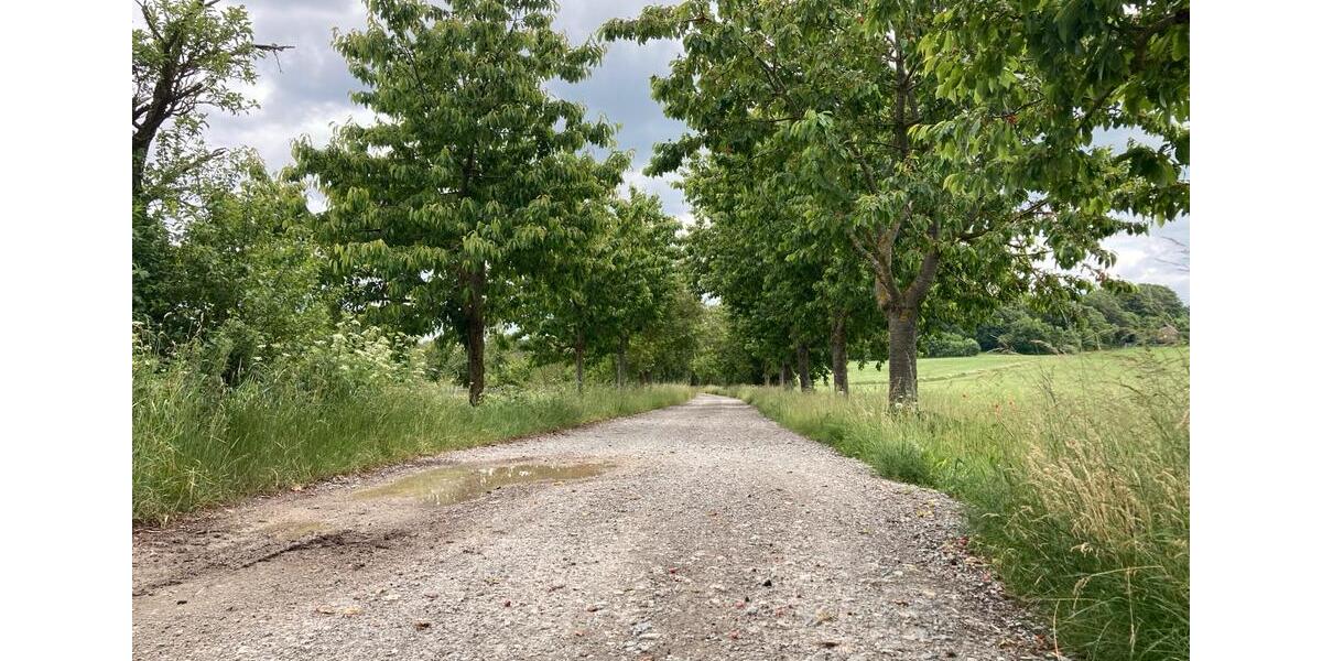 Etagenwohnung Blankenhain - 2 Zimmer, 75 m&sup2;, 400&euro; | Angebot:26022746