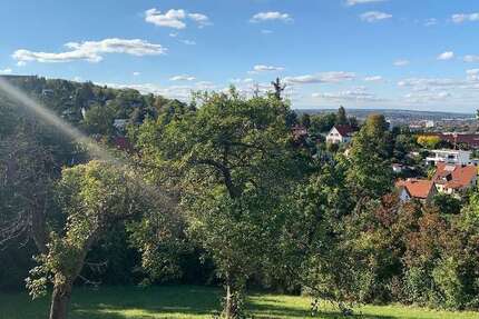 Grundstück zu verkaufen in Erfurt 498.000 € 1176 m² zimmer