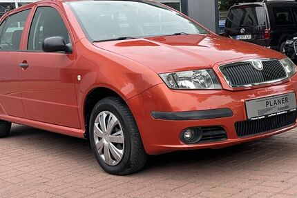 Skoda Fabia 135.171 km 2.290 € Apolda 99510