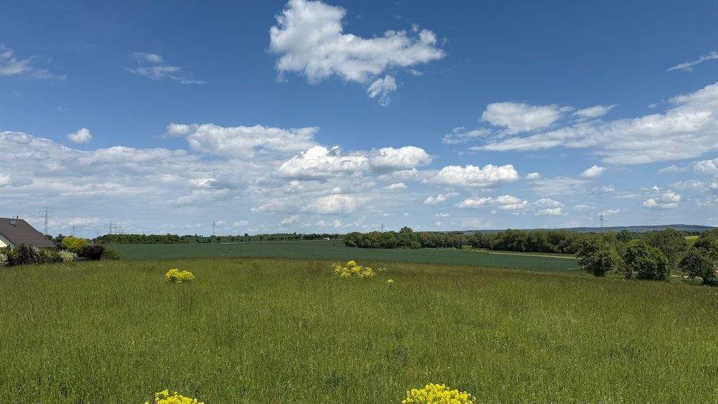 Grundstück Arnstadt Marlishausen - 143.680&euro; | Angebot:24027058