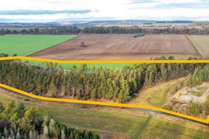 Versteigerungsimmobilie Blankenhain Kleinlohma - 39.000&euro; | Angebot:24711022