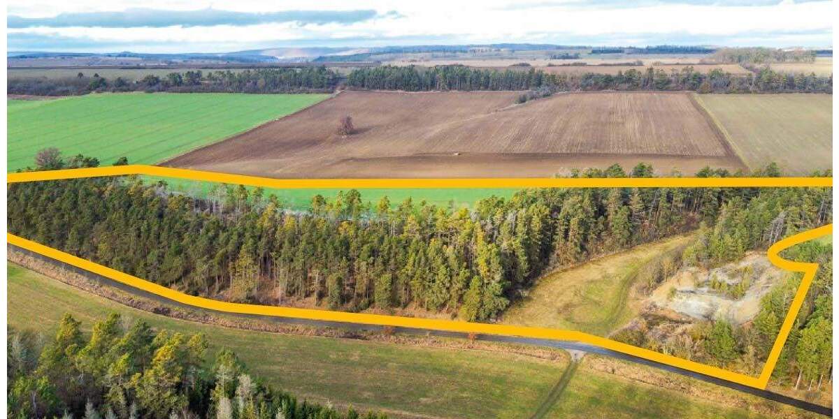 Versteigerungsimmobilie Blankenhain Kleinlohma - 39.000&euro; | Angebot:24711022