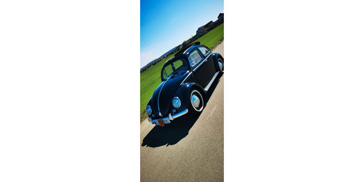 VW Käfer 101.000 km 39.700 &euro; Erfurt 99099
