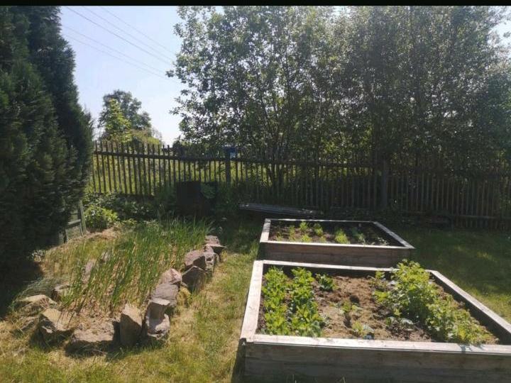 Grundstück Erfurt Johannesvorstadt - 70&euro; | Angebot:25770203