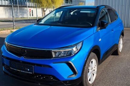 Opel Grandland (X) 27.869 km 17.999 &euro; Gotha 99867