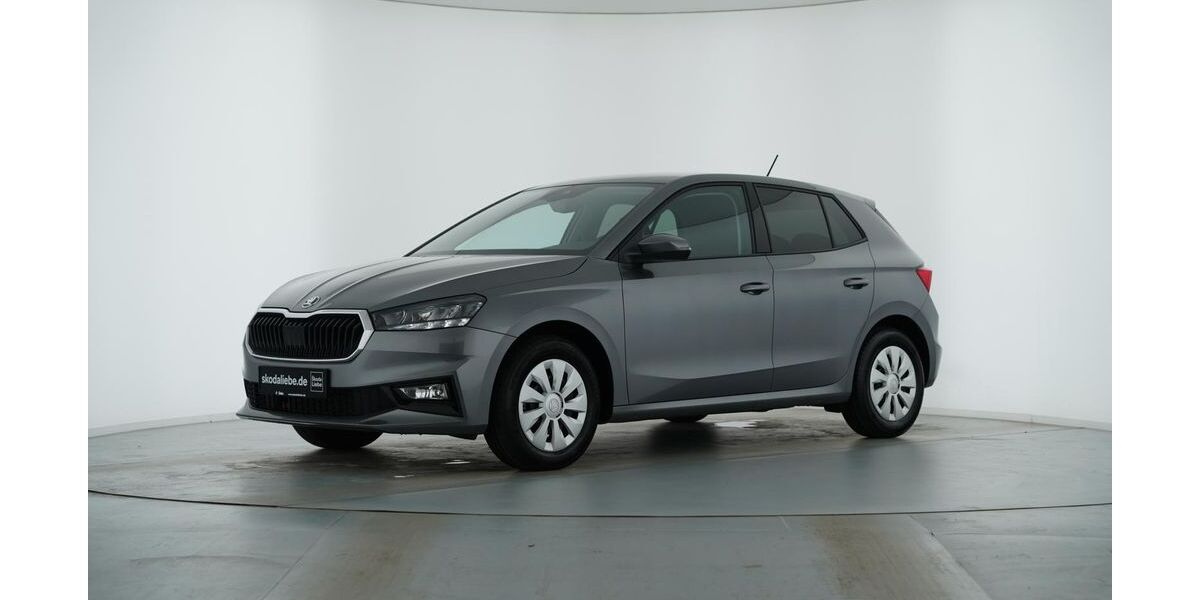 Skoda Fabia 3.503 km 19.889 &euro; Erfurt 99086