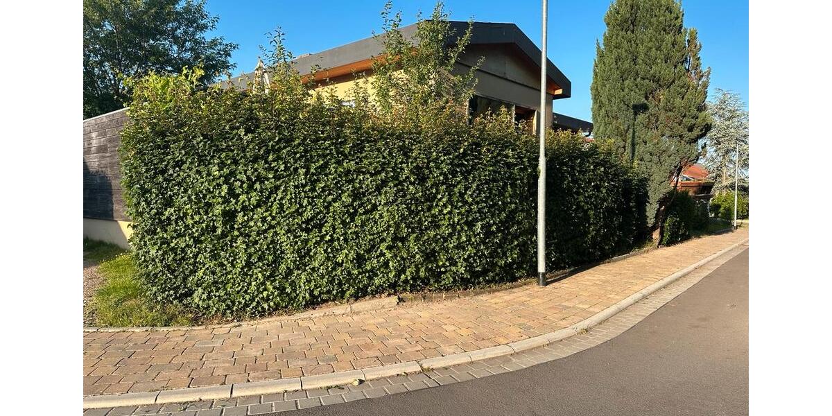 Einfamilienhaus Dachwig - 5 Zimmer, 200 m&sup2;, 407.500&euro; | Angebot:26959084