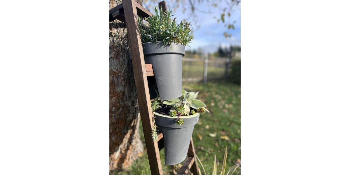 Grundstück Meckfeld bei Bad Berka Meckfeld - 42.500&euro; | Angebot:24296658