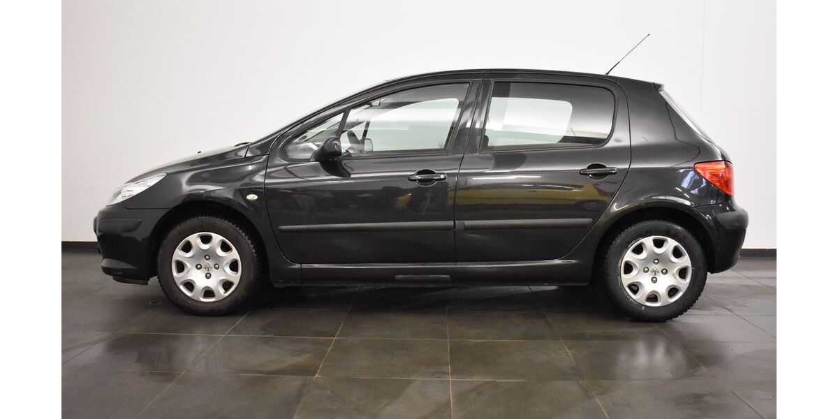 Peugeot 307 102.206 km 3.990 &euro; Arnstadt 99310