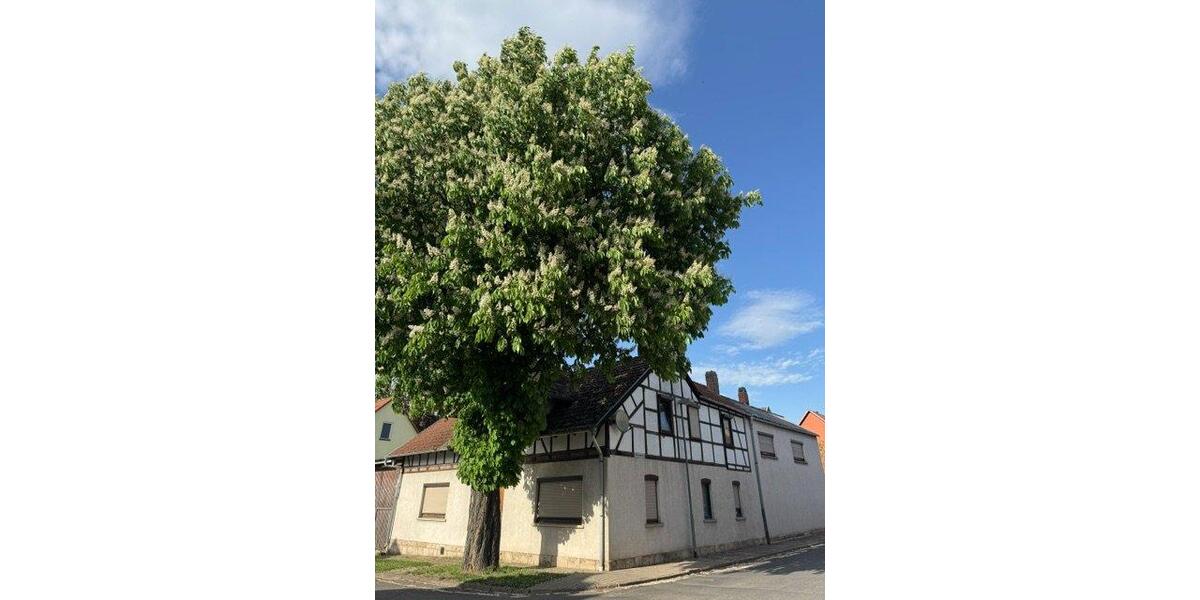 Einfamilienhaus Herbsleben - 120.000&euro; | Angebot:27109812