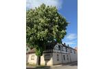 Einfamilienhaus Herbsleben - 120.000&euro; | Angebot:27109812