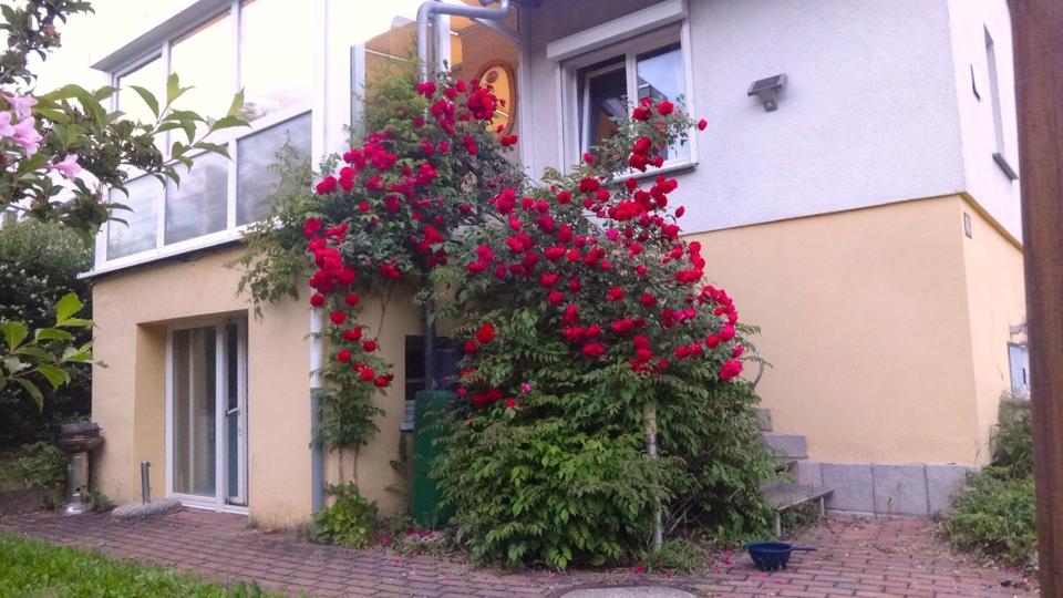 Bungalow Erfurt - 85.000&euro; | Angebot:26998449