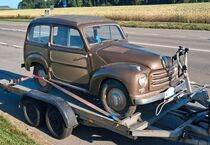 Topolino