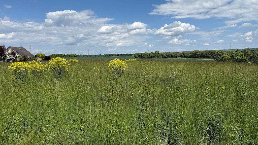 Grundstück Arnstadt Marlishausen - 143.680&euro; | Angebot:24027058