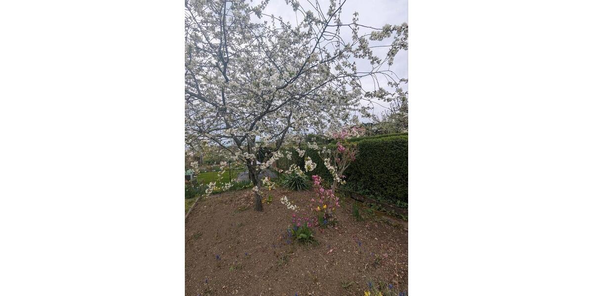 Grundstück Erfurt Daberstedt - 4.000&euro; | Angebot:26007252