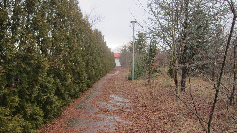 Ein Haus bei dem weniger wirklich mehr ist - Fläche optimal nutzen in Stotternheim