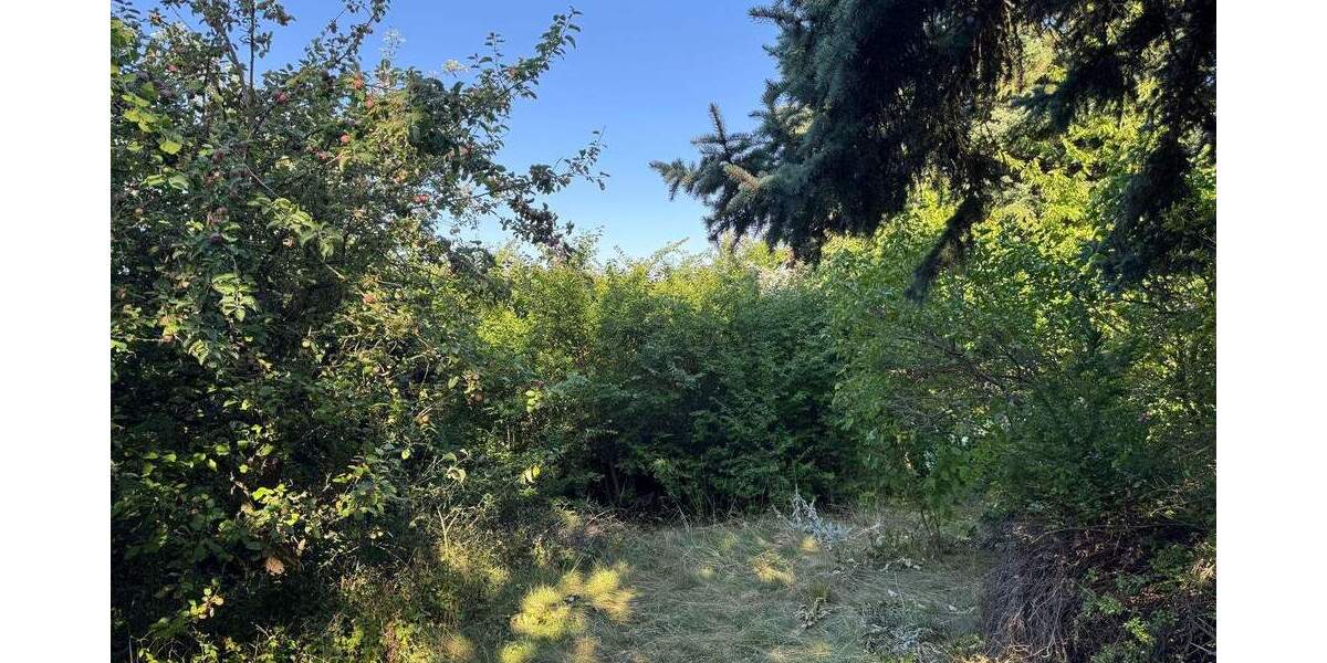 Grundstück Erfurt Möbisburg-Rhoda - 25.000&euro; | Angebot:26189214