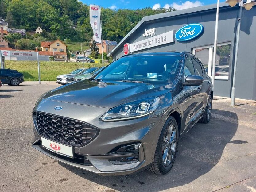 Kuga